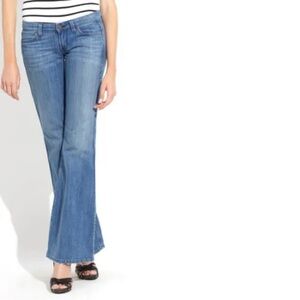 Rich + Skinny Flare Leg Jeans Medium Wash Size 28